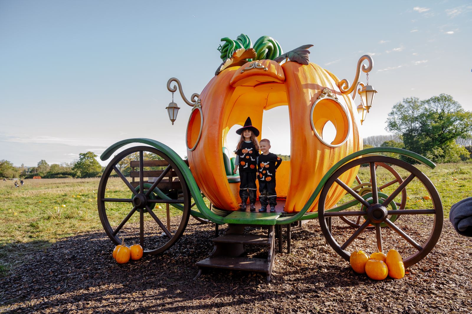 Pumpkin carriage at Wasing